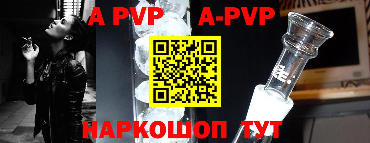 A PVP СК КРИС Энгельс