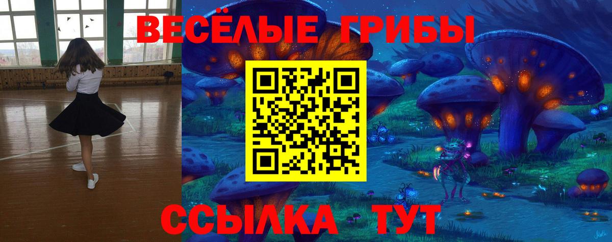 Псилоцибиновые грибы Cubensis  Вход с VPN  Энгельс 